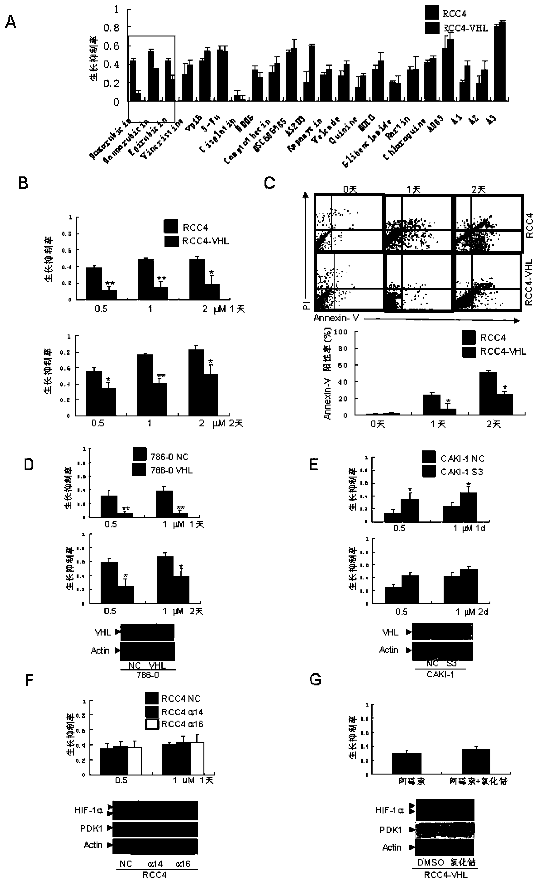 Application of acetaldehyde dehydrogenase 2 as drug target for treating tumor cells with anthracycline type chemotherapy drugs