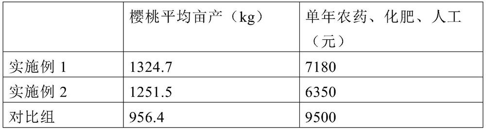 Cherry circular truncated cone type close planting cultivation technology suitable for greenhouse cultivation