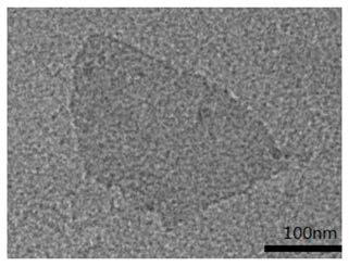 Preparation method and application of functionalized graphene targeted sterilization material with synergistic effect of photo-thermal treatment and chemotherapy