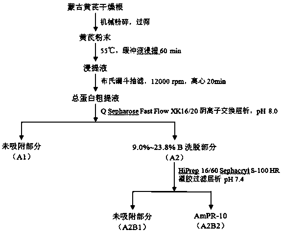 Mongolia astragalus pathogenesis-related protein, crystal thereof, growth method and application