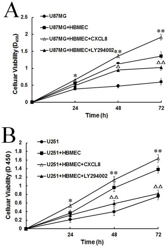 Research method of Crosstalk mechanism of VEGF-CXCL8-Akt and application thereof