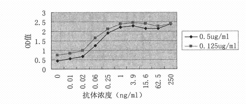 Tetanus toxoid monoclonal antibody and preparation method and application thereof