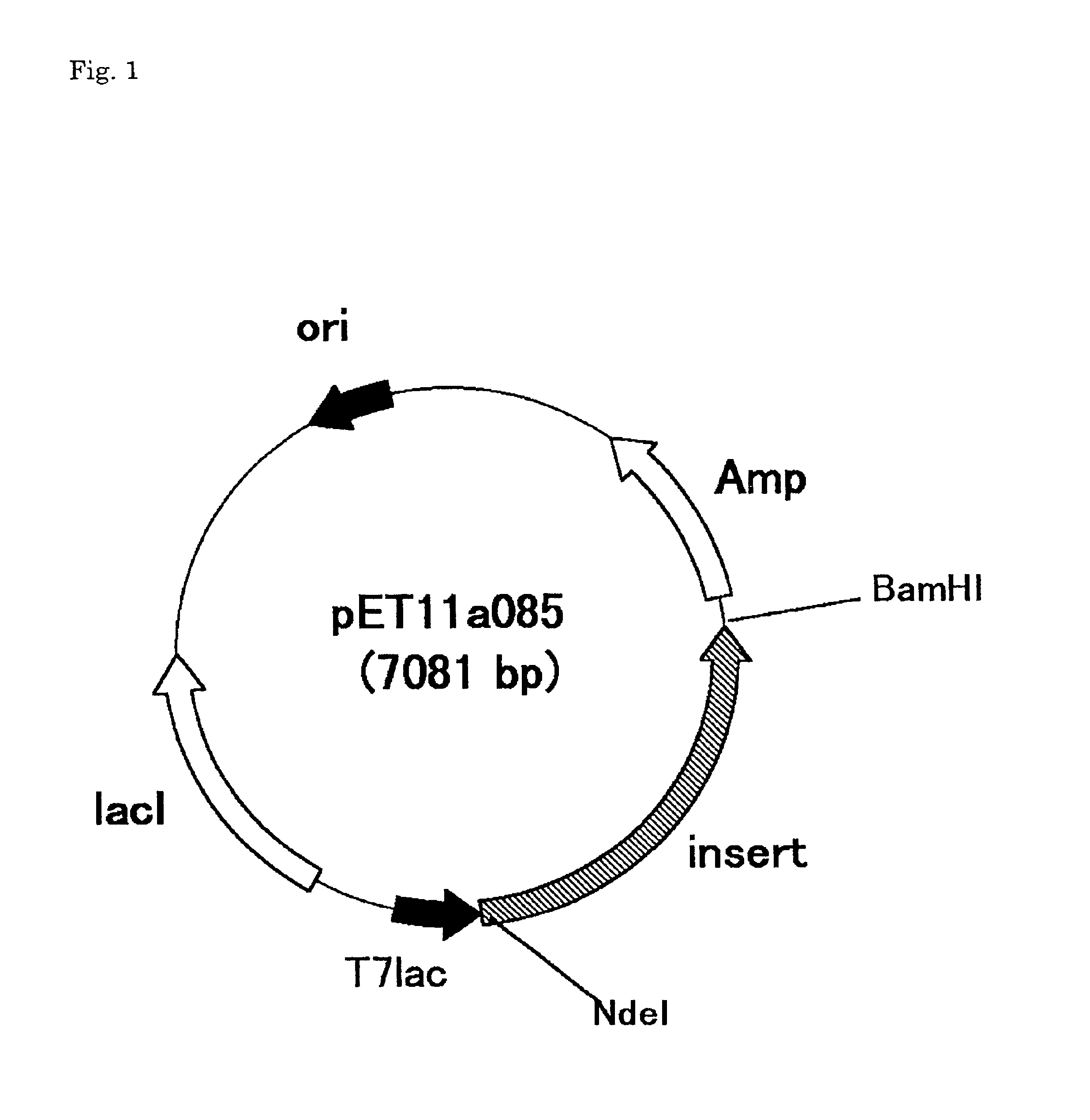 Method for analyzing the amount of intraabdominal adipose tissue