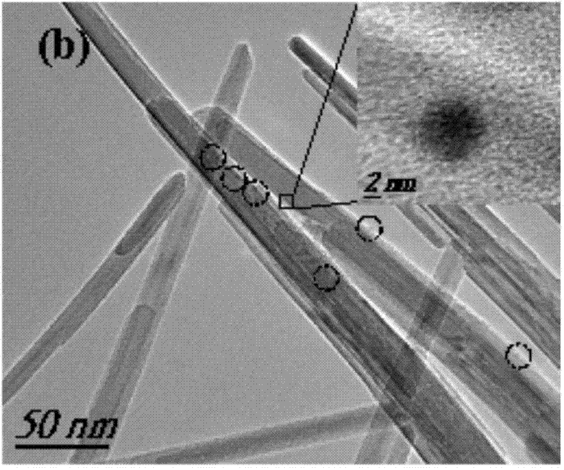 Controllable preparation method of Ag-manganese monoxide nanorods