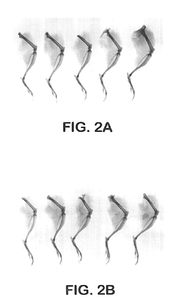 Cartilage/bone inducing materials for reparation