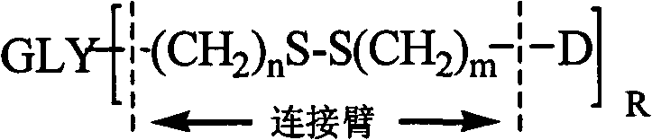 Amphiphilic polysaccharide derivative vector for specific medicine release in organism focusas well as preparation and application of pharmaceutical composition thereof