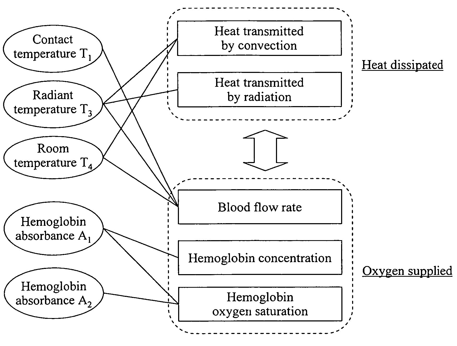 Blood glucose measurement device and metabolic rate measurement device