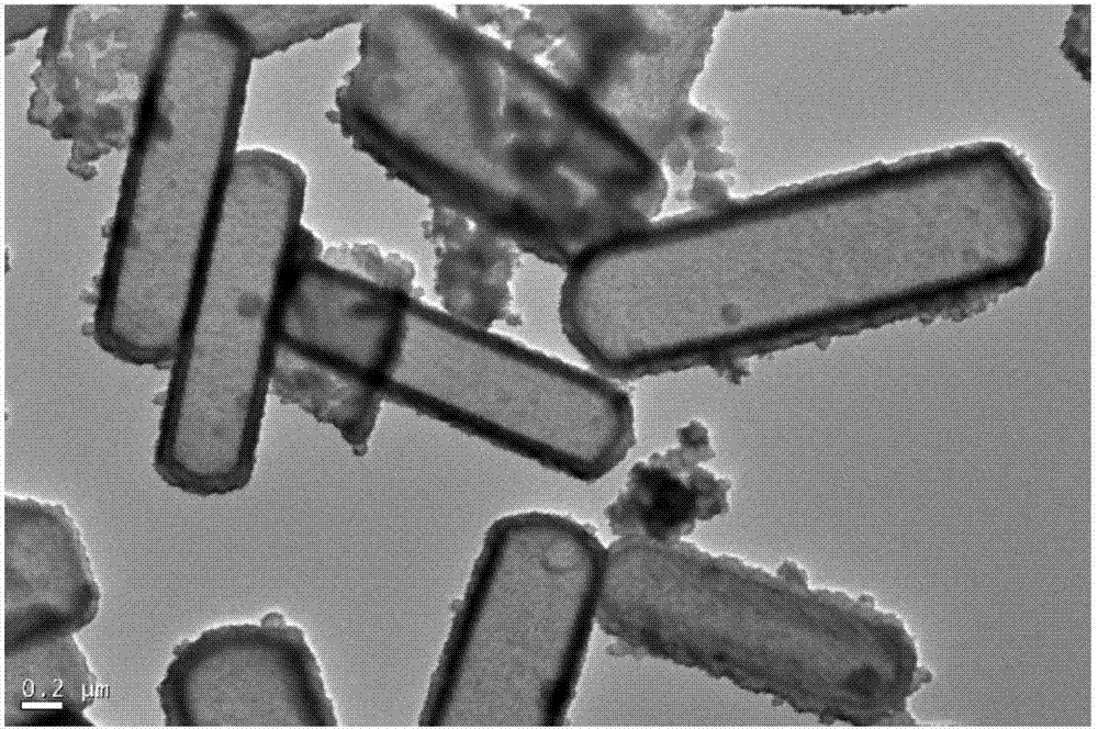 High-capacity carbon nanotube composite cobalt sulfide negative electrode material and preparation and application thereof