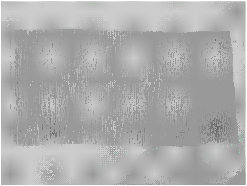 Dibasic compound hollow tobacco fiber paper filtering stick and preparation method thereof