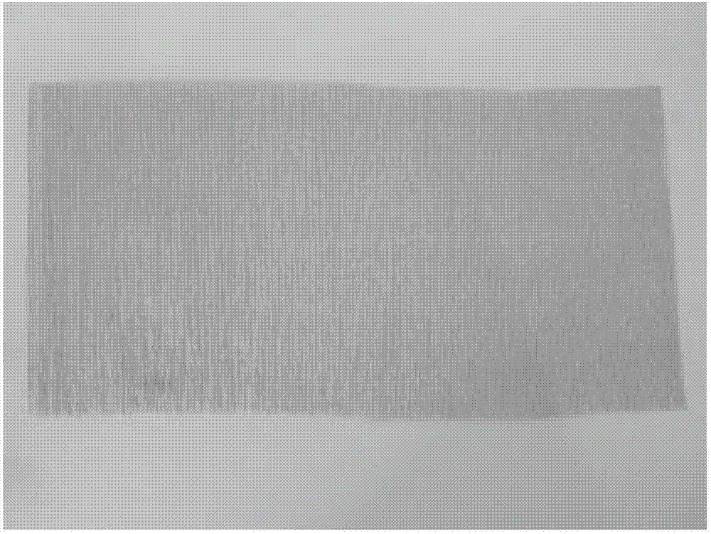 Dibasic compound hollow tobacco fiber paper filtering stick and preparation method thereof