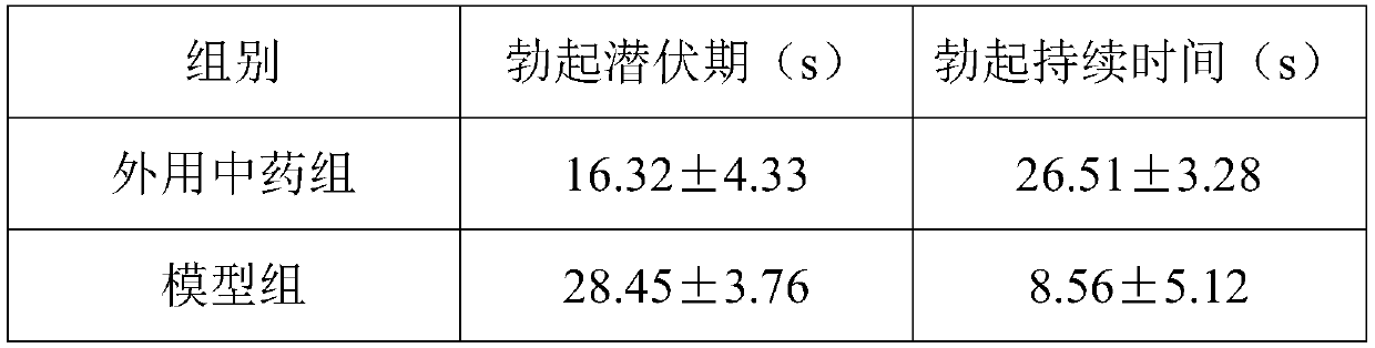 Externally-applied traditional Chinese medicine for treating premature ejaculation and erectile dysfunction and preparation method thereof