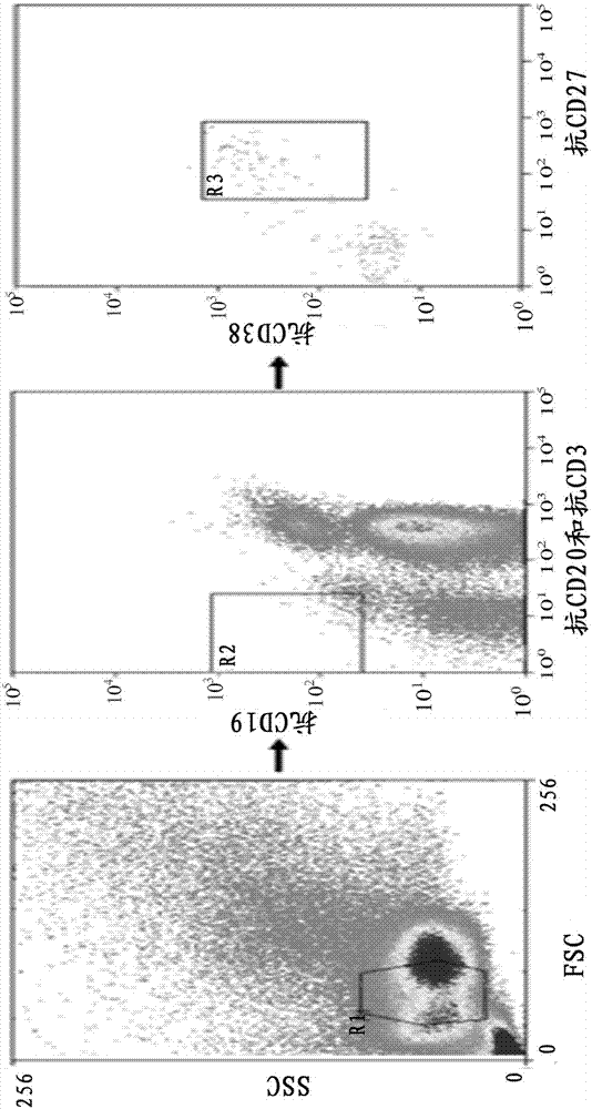 Monoclonal antibody of human anti-Ebola virus envelope glycoprotein, and application thereof