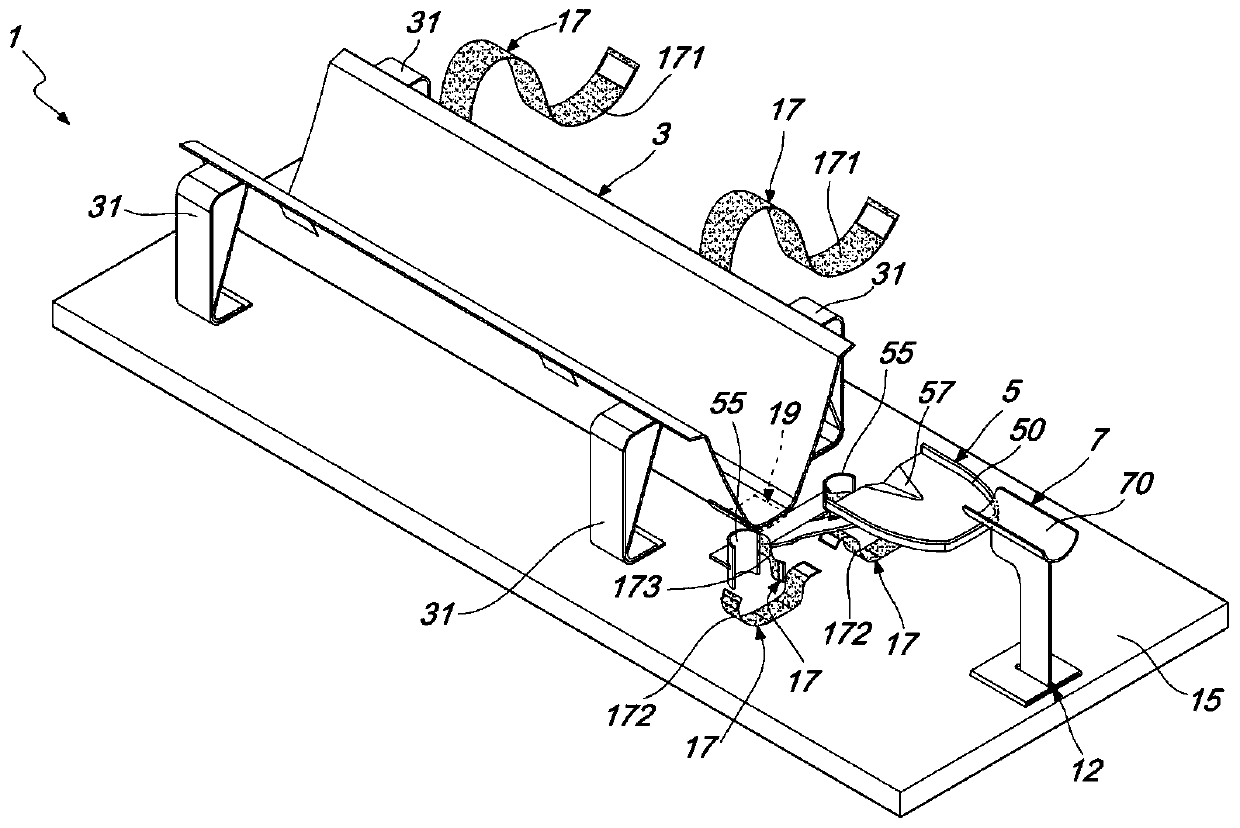 Veterinary fixing device for imaging diagnosis of feline