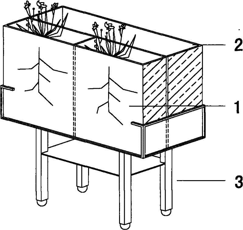 Display system suitable for comparing and observing growth of plant root systems