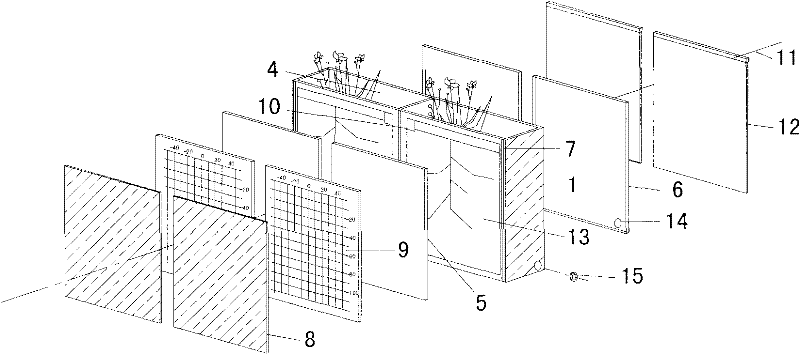 Display system suitable for comparing and observing growth of plant root systems