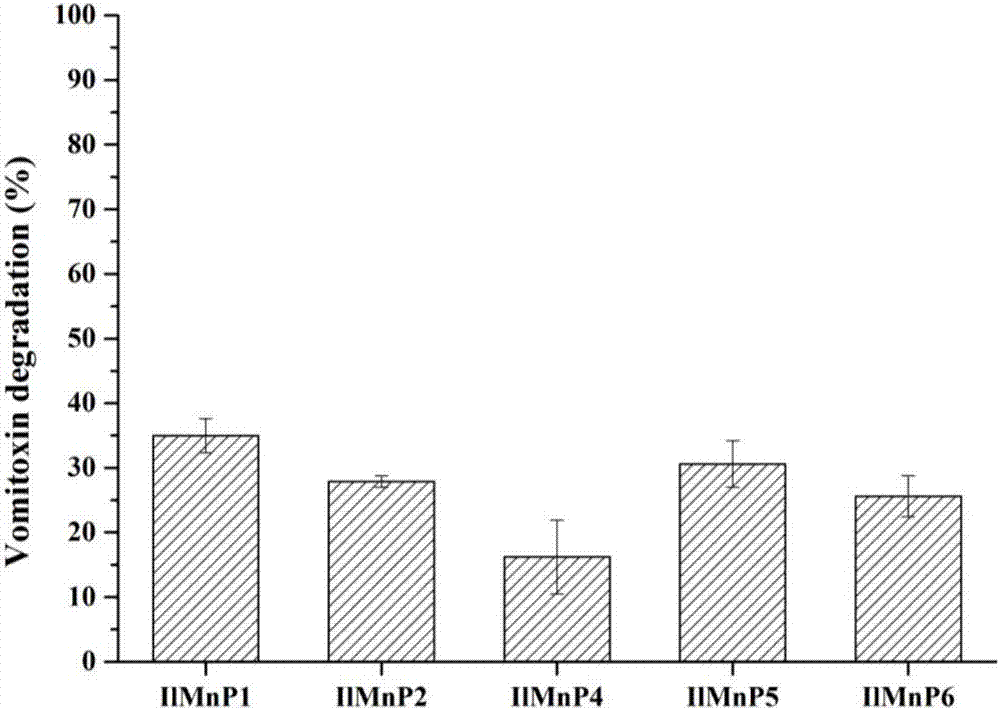 Manganese peroxidase, gene of manganese peroxidase and application of manganese peroxidase to mycotoxin detoxification