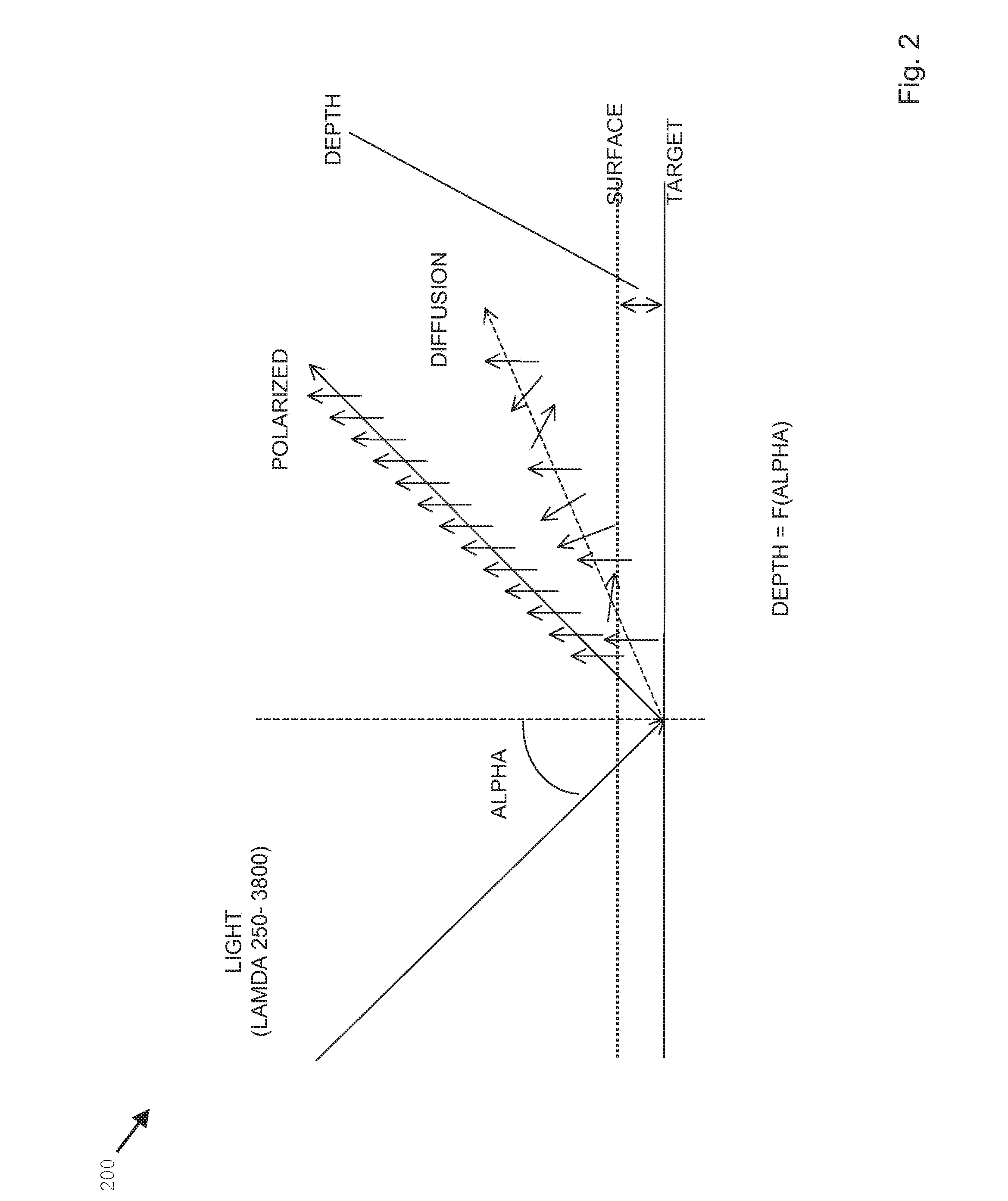 Skin assessment device