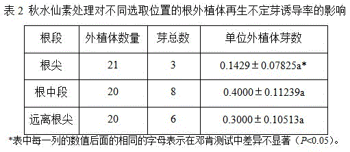 A method for improving the chromosome doubling efficiency of triploid Echinacea purpurea induced by colchicine