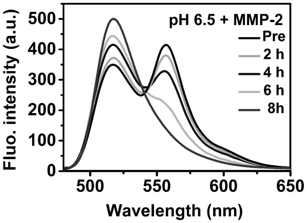 Nano vesicle jointly loaded with PD-L1 antibody and STING agonist as well as preparation method and application thereof