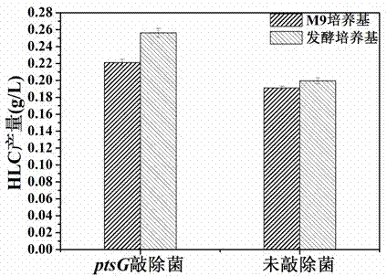 ptsG gene knocked out recombination bacterial efficiently expressing human-like collagen protein, construction method thereof, and protein expression