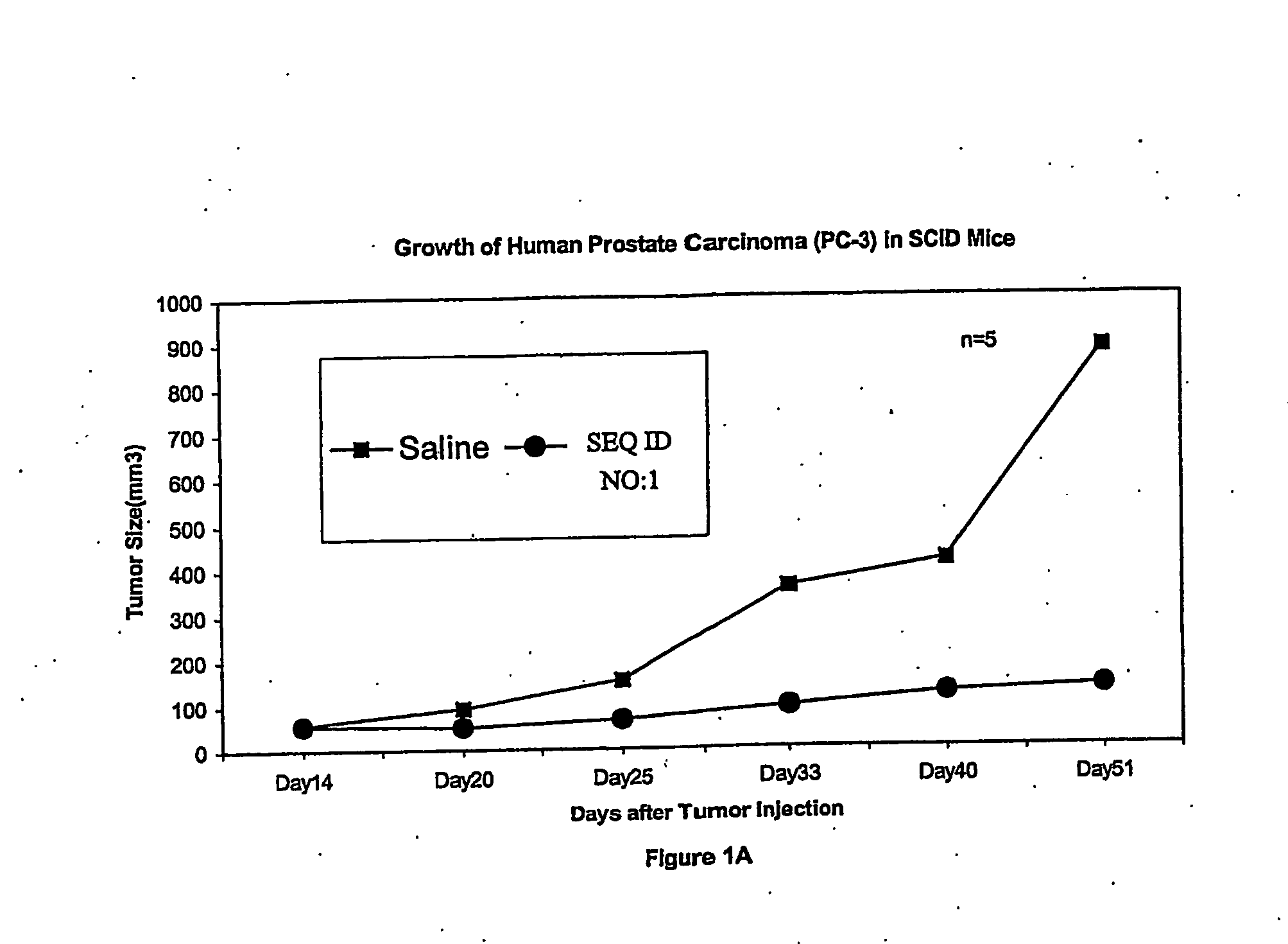 Antisense Oligonucleotides Directed to Ribonucleotide Reductase R1 and Uses Thereof in the Treatment of Cancer