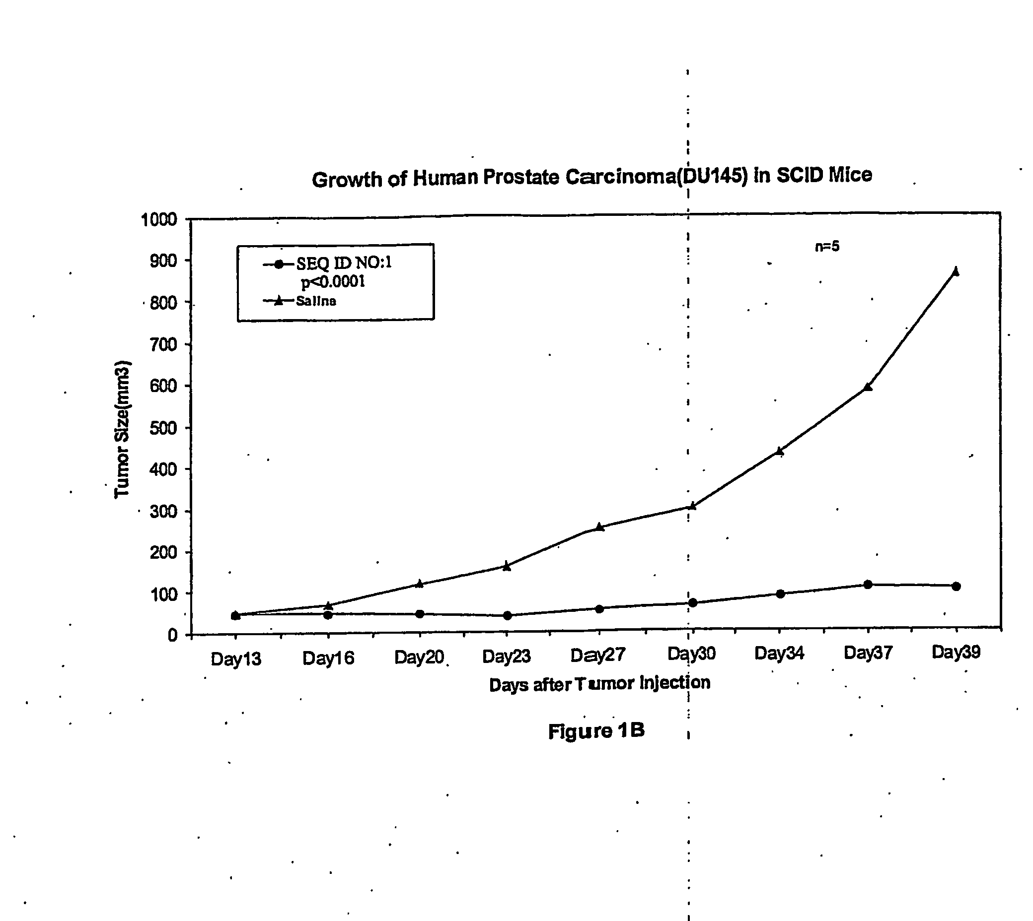 Antisense Oligonucleotides Directed to Ribonucleotide Reductase R1 and Uses Thereof in the Treatment of Cancer