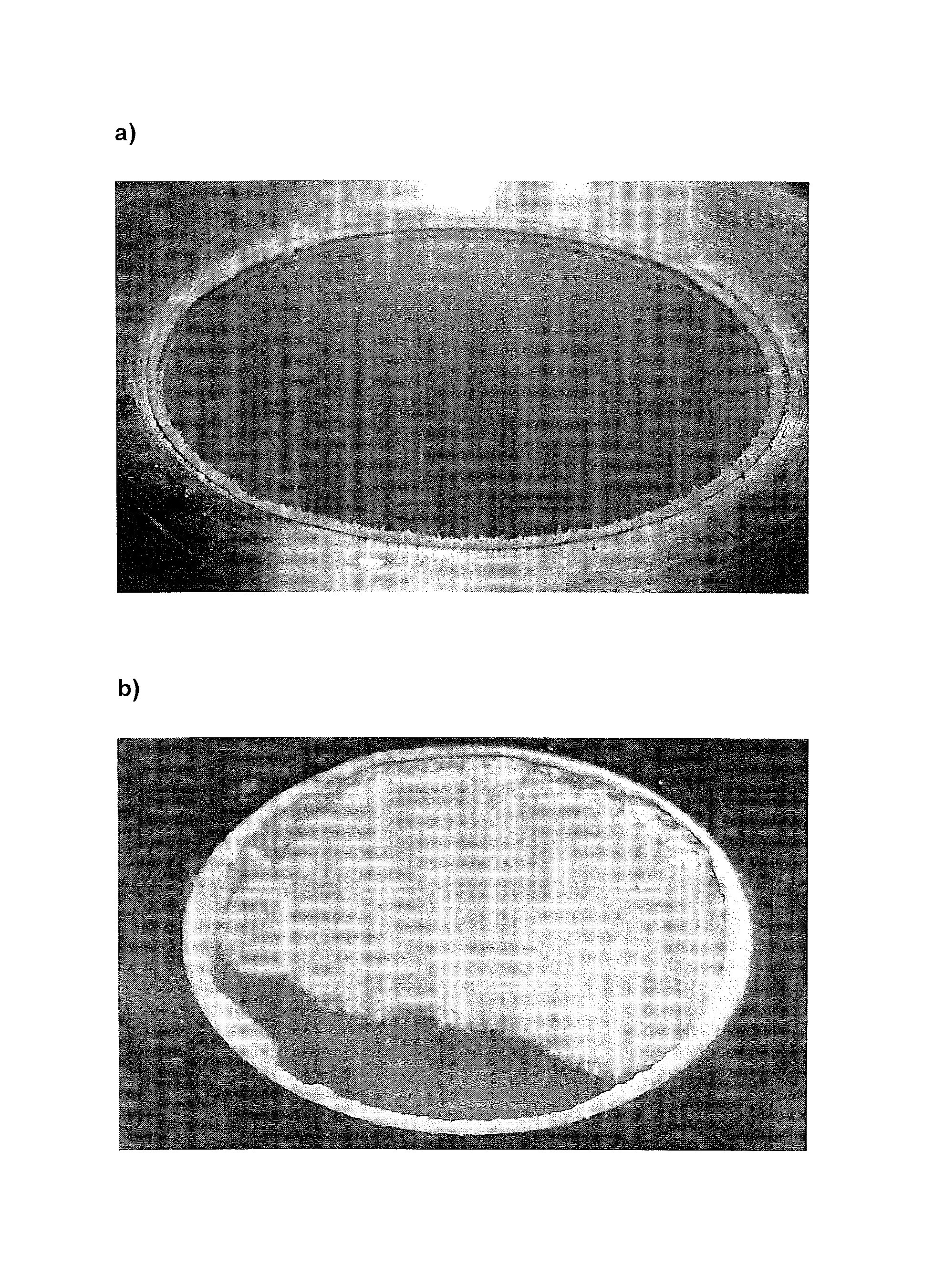 Organic electroluminescent device comprising triazine derivatives