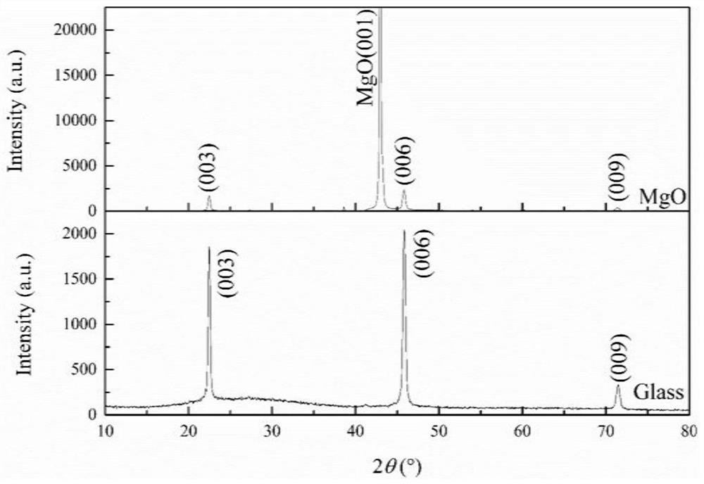 Method for preparing (001) preferred orientation low-melting-point bismuth film by molecular beam epitaxy technology