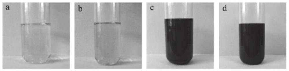 Myricetin functionalized silver nanoparticles, green preparation method thereof and pharmaceutical composition