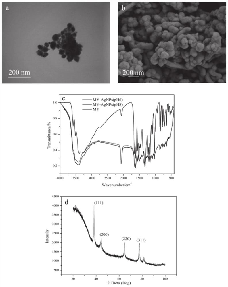 Myricetin functionalized silver nanoparticles, green preparation method thereof and pharmaceutical composition