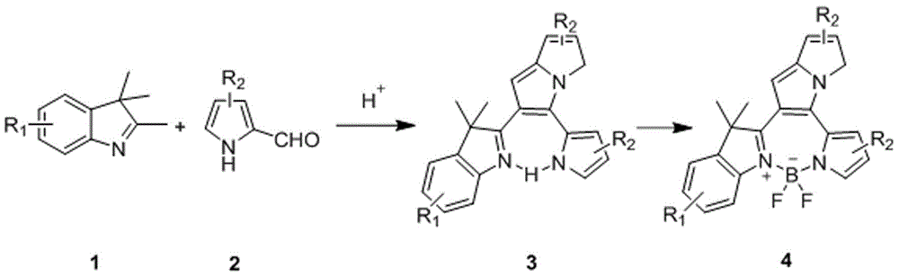 Fluorine-boron pyrrolizinone fluorochrome and synthesizing method thereof