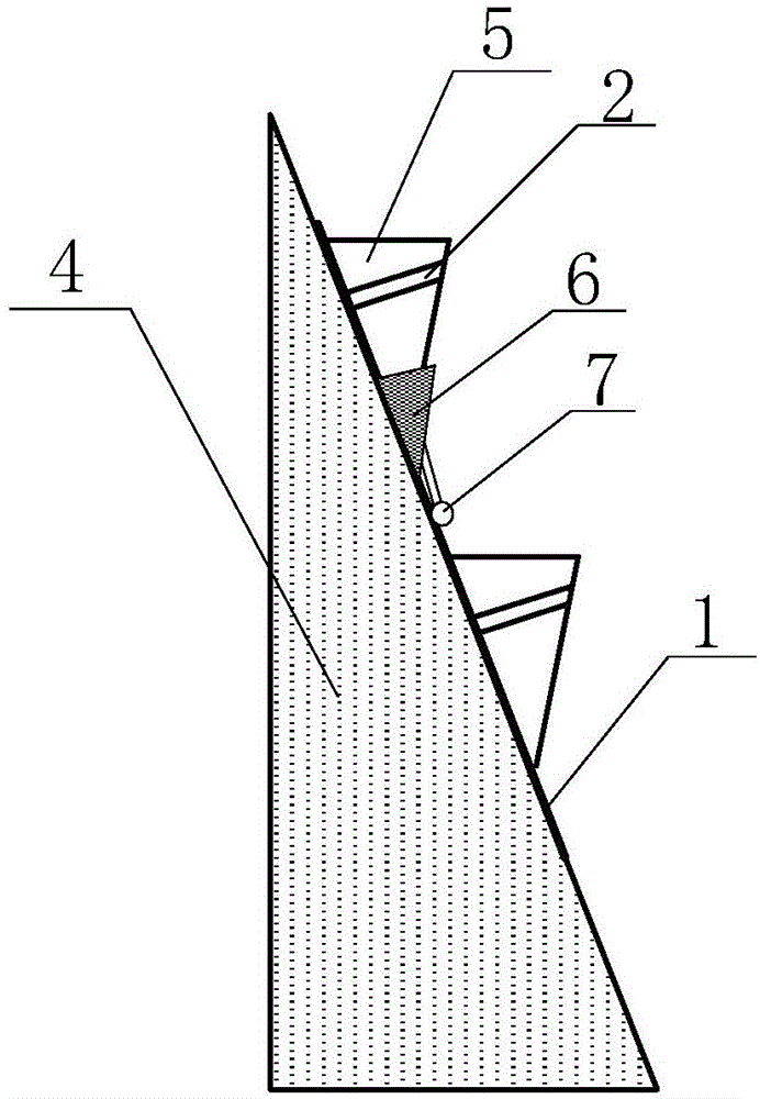 Large-gradient stone side slope protection structure based on rainwater collecting bags