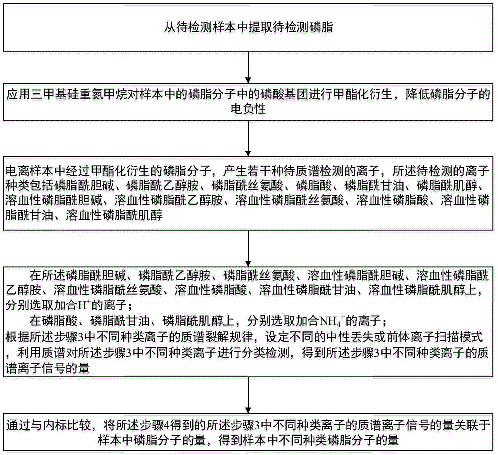 Chemical derivatization-based phosphatide classification detection and quantification method