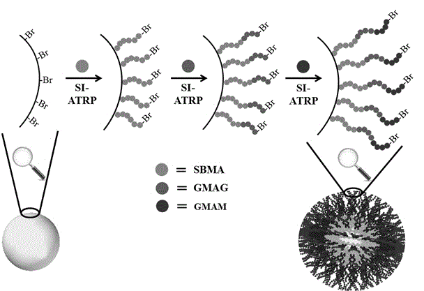 Preparation and application of multi-component segmented hydrophilic copolymer-silica gel hybrid chromatographic packing material