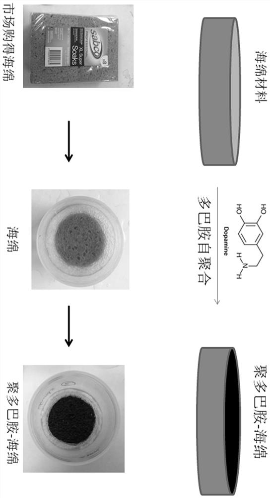 Preparation method of photo-thermal material and application of photo-thermal material in water evaporation