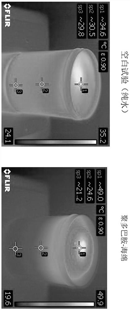 Preparation method of photo-thermal material and application of photo-thermal material in water evaporation