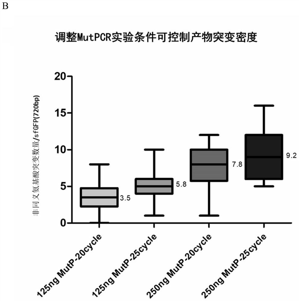 A high-throughput DNA multi-site precise base mutation method