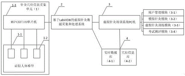 Virtual acupuncture training system