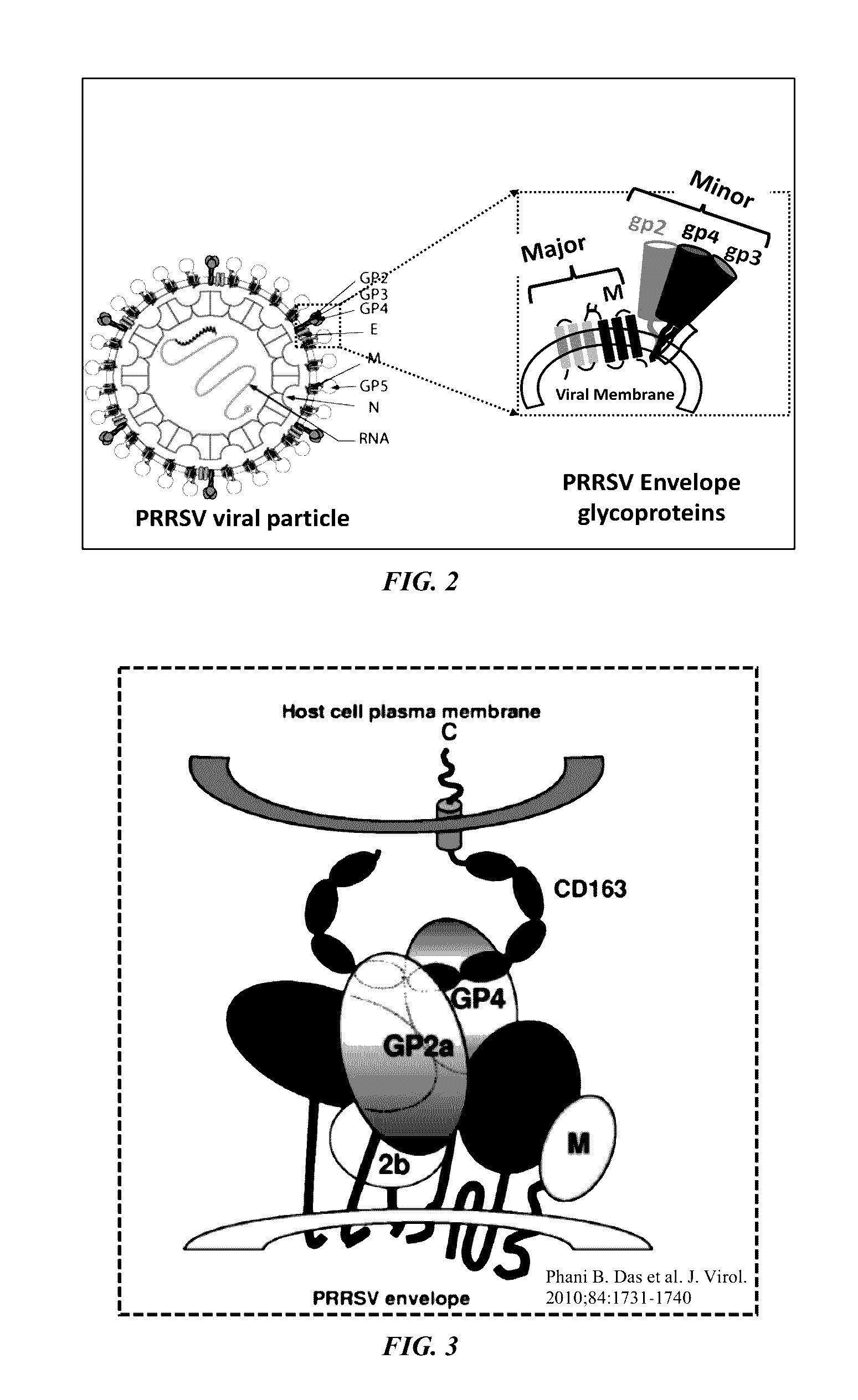 PRRSV minor protein-containing recombinant viral vectors and methods of making and use thereof