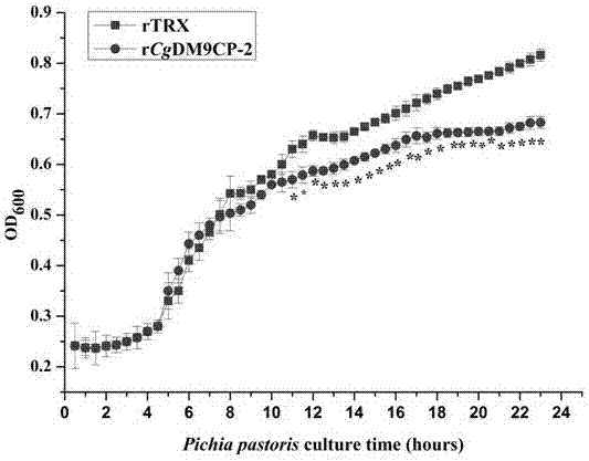 Crassostrea gigas DM9-domain-containing protein CgDM9CP-2, preparation method and application