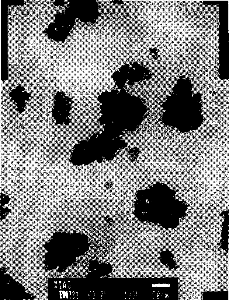 Nano TiO2 carrying metal ion antibacterial agent and its preparing method