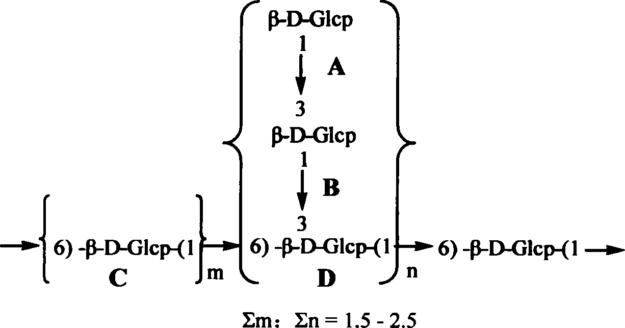 Grifola frondosa strain, culture method and application thereof