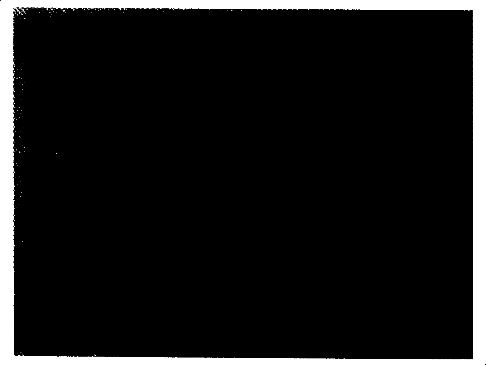 Method for making magnetic nano particle based on solution co-deposition