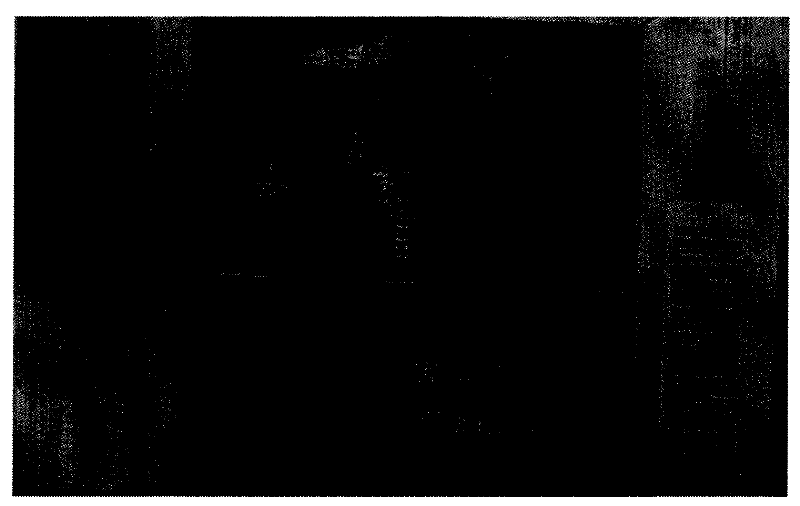 Method for improving bronzing effect of non-ferrous metal cardboard