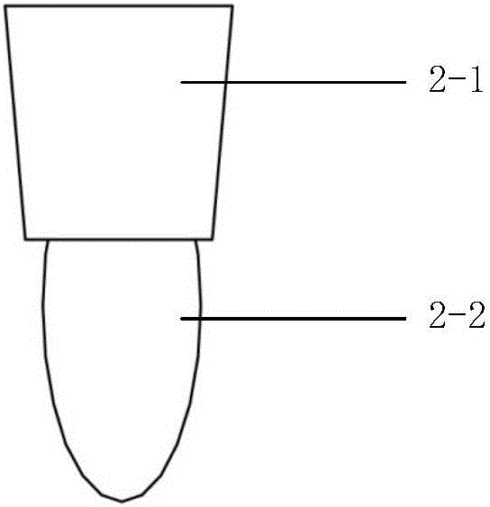 Plant water culture method and special device thereof