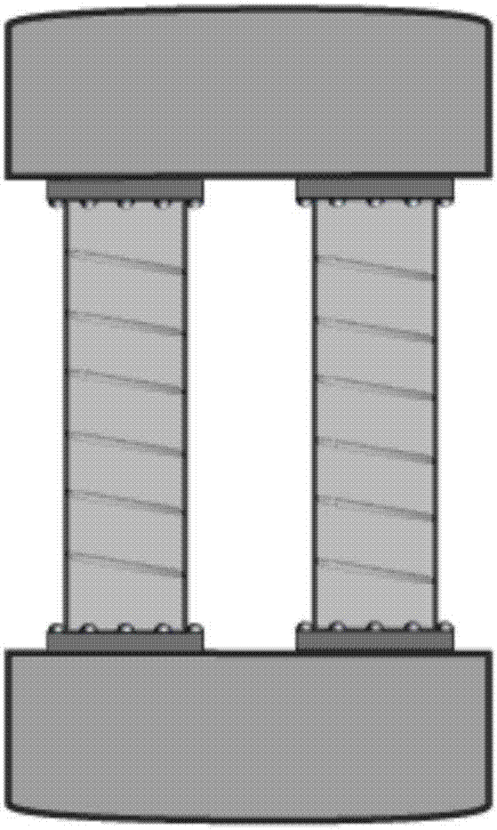 Circulating tumor cell capturing device