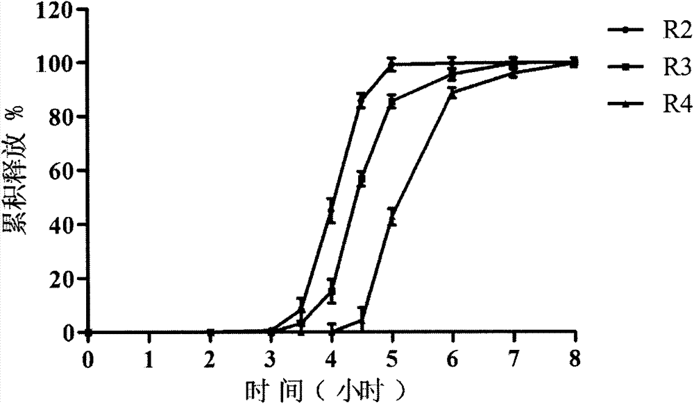 Zolpidem tartrate oral pulse controlled release drug delivery system and preparation method thereof