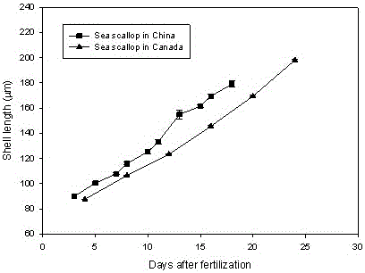 The Breeding and Multicultural Method of Atlantic Deep-sea Scallop