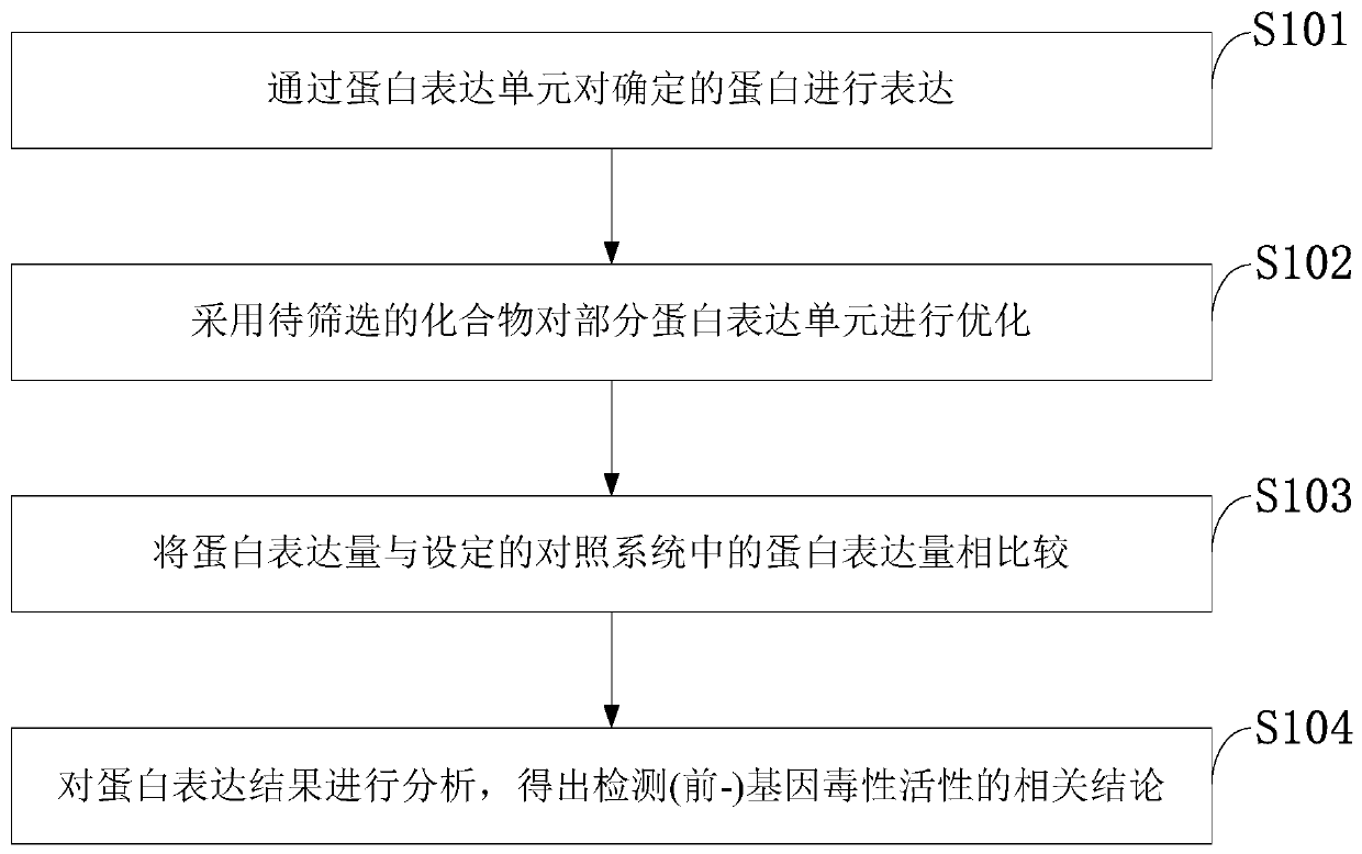 Analytical method of CREB in Ang-2 regulating VEGFR2 expression