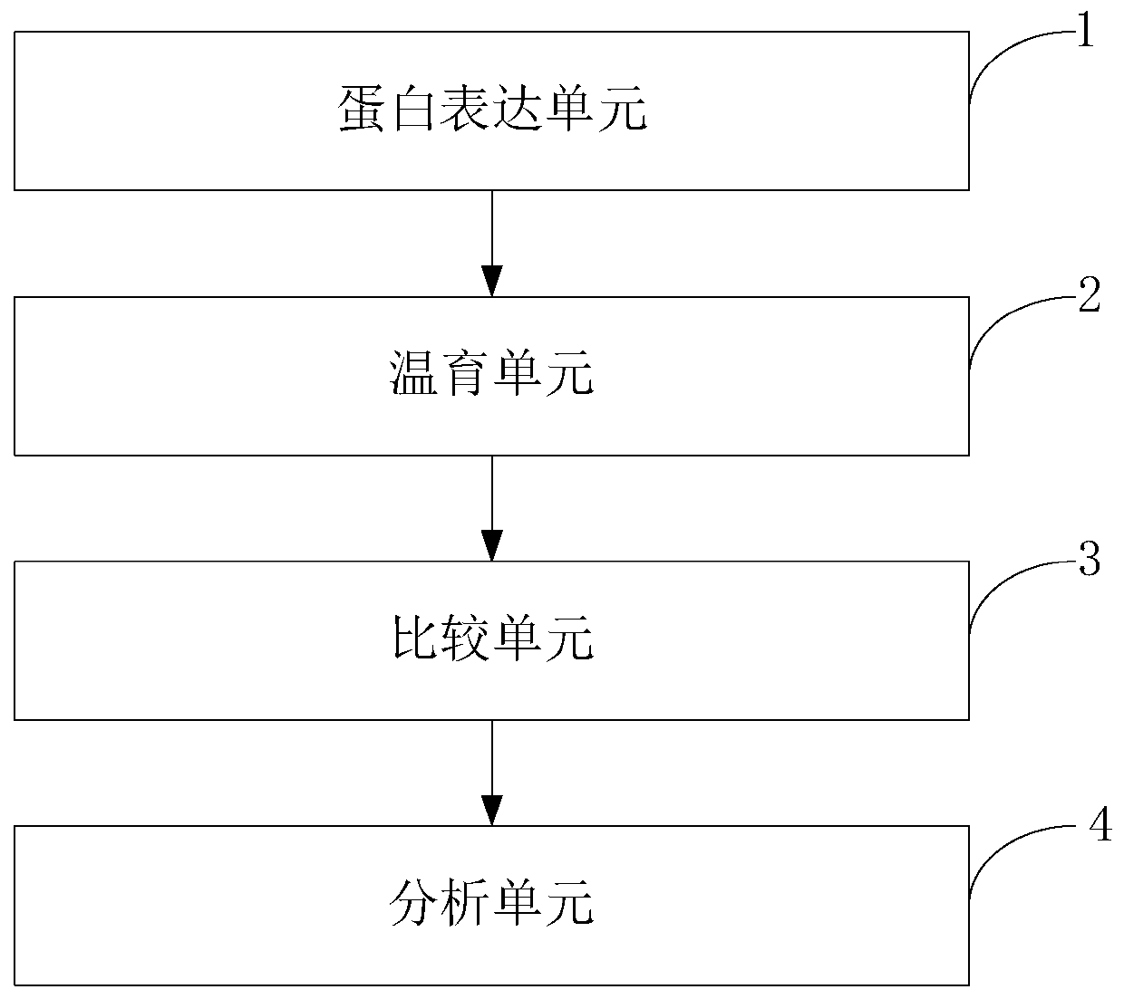 Analytical method of CREB in Ang-2 regulating VEGFR2 expression